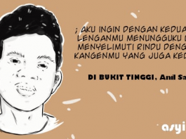 PUISI-PUISI ANIL SAFRIANZA