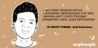 PUISI-PUISI ANIL SAFRIANZA