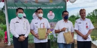 BAHAN BAKU KERAJIAN PURUN MENIPIS, BALITRA GASKEUN BUDIDAYA TANAMAN PURUN