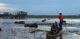 JELAJAH DESA SAPALA, DESTINASI KERBAU RAWA DENGAN TOUR PERJALANAN ALAM