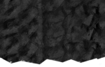 header-Hnew1-1trnas