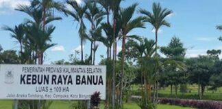 BRIN AKAN KUNJUNGI KEBUN RAYA BANUA, BAHAS KEBIJAKAN DAN PENANAMAN POHON