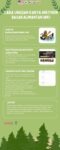 Green Illustrative How to Create Sustainable Forests Infographic