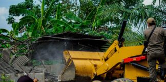 LANGGAR PERDA, BANJARBARU BONGKAR KANDANG BABI DI GUNTUNG MANGGIS
