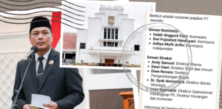 ADITYA; DARI INGAR BINGAR POLITIK KE DEWAN KOMISARIS BUMN