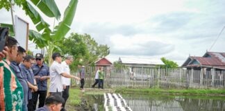 MENTAOS MASUK TIGA BESAR LOMBA KELURAHAN TINGKAT PROVINSI TEMA KETAHANAN PANGAN