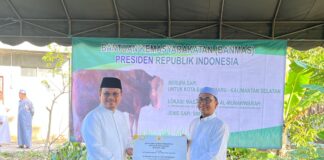 SAPI KURBAN PRESIDEN RI DISERAHKAN PJ WALI KOTA BANJARBARU USAI SALAT IED