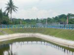 KOLAM