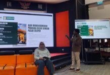 RISIKO SISTEMIK LISTRIK BERBAHAN BATU BARA